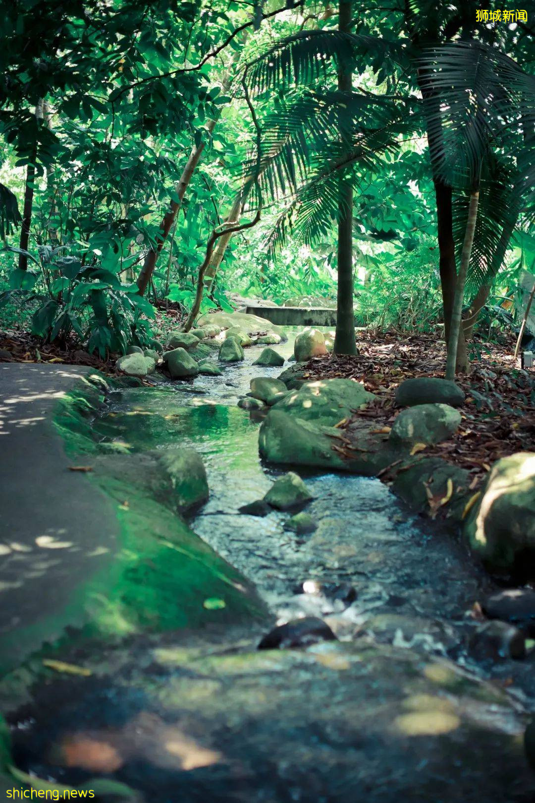 漫步獅城 花園城市體驗生態魅力