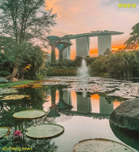 玩在獅城 盤點全島這15個免費景點，讓你玩的省錢又開心