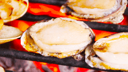 新加坡50种新年鲍鱼价格比拼！哪里能买到最便宜的