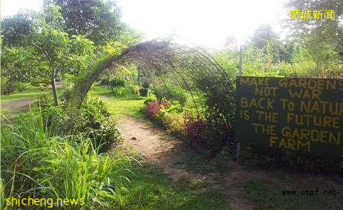 钞票能力加持,新加坡计划打造未来农场