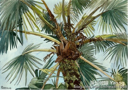 001OZGDMgy6KP9sTdQo8c&690