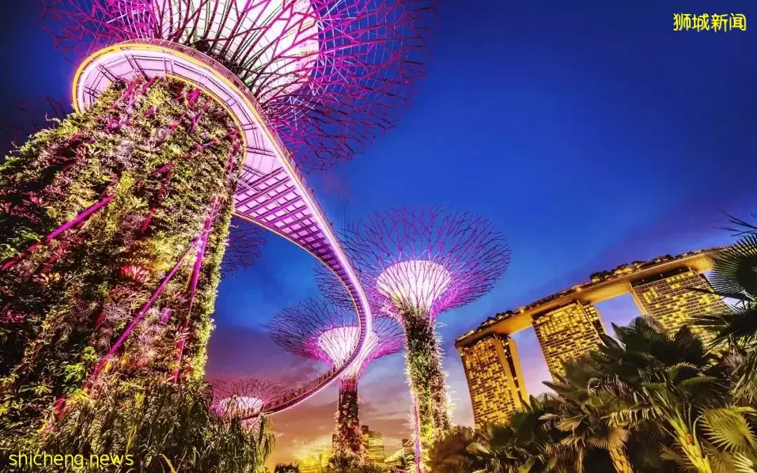 明星富人的移民“新宠”,一场旅行告诉你新加坡魅力何在