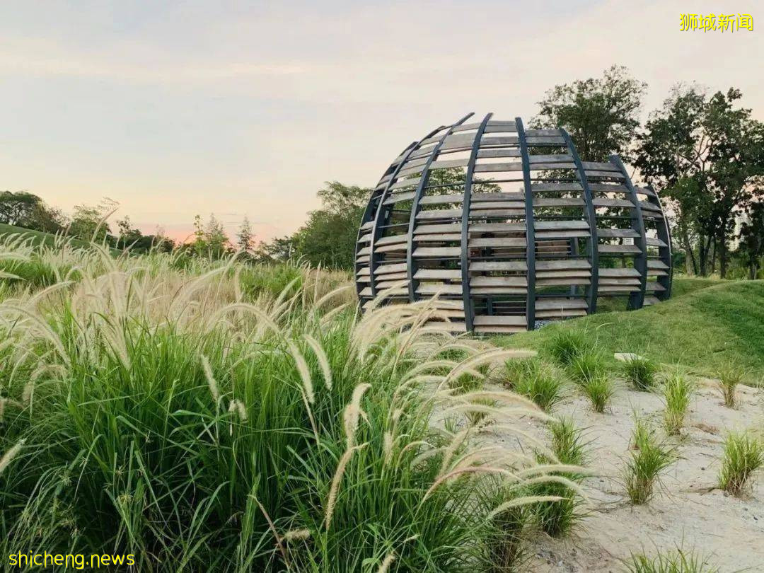 美到不行的裕廊湖畔花园,你不来打卡一下吗