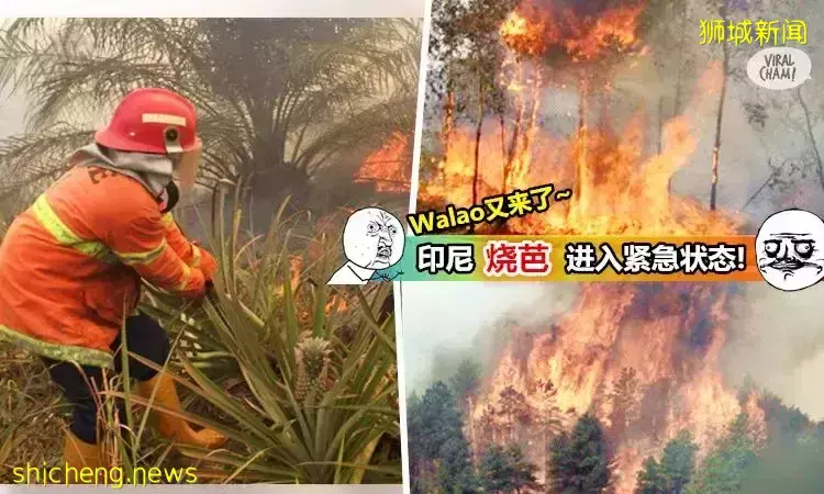 昨早,新加坡地震了?新加坡人嚇壞了