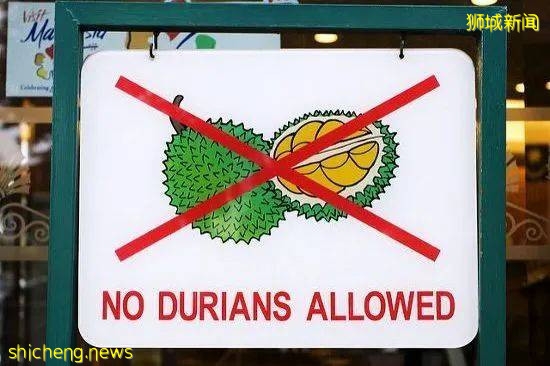 獅城美味 | 又是一年榴梿季：品一品新加坡的榴梿之魅!