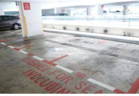 新加坡车位有多稀缺?连大蜥蜴都来抢车位