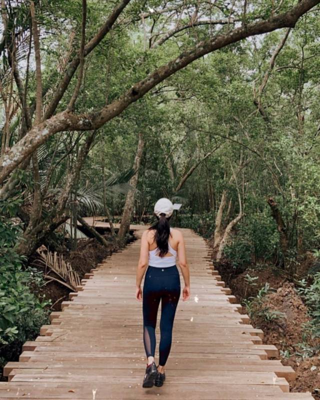 新加坡多元化自然生態!Chek Jawa Wetlands 島上濕地公園🏝 徒步探索、沿海浮橋邂逅美景