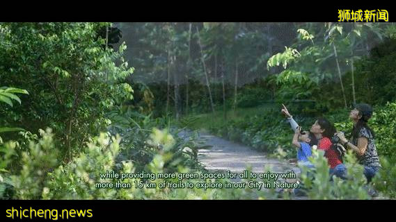 15公裏步道、紅樹林、親子遊…新加坡要建超大自然公園,看看是不是就在你家附近