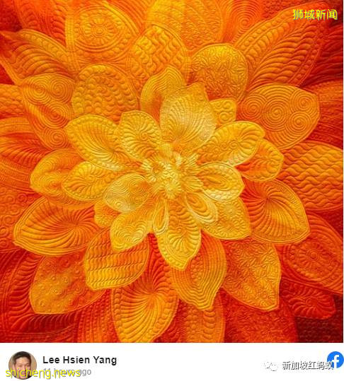 社交媒體化身爲主戰場　各黨准候選人紛紛爲面簿更換門面