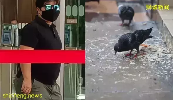 新加坡30件“合法但有病”的事！哈哈哈哈哈