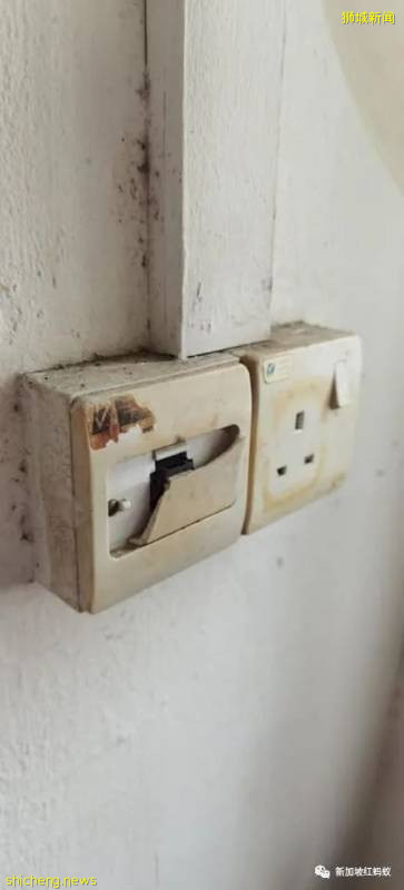 獅城患病母子住在破舊屋子　沒錢看醫生冰箱內全是黑色的東西!