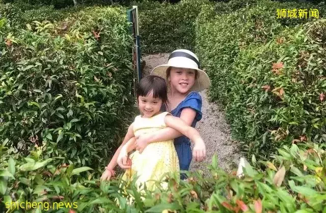 帶娃逛遍新加坡的森林和水庫，9條適合兒童徒步的路線