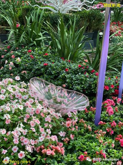 视觉冲击力超强,巨型玻璃雕塑“攻占”新加坡滨海湾