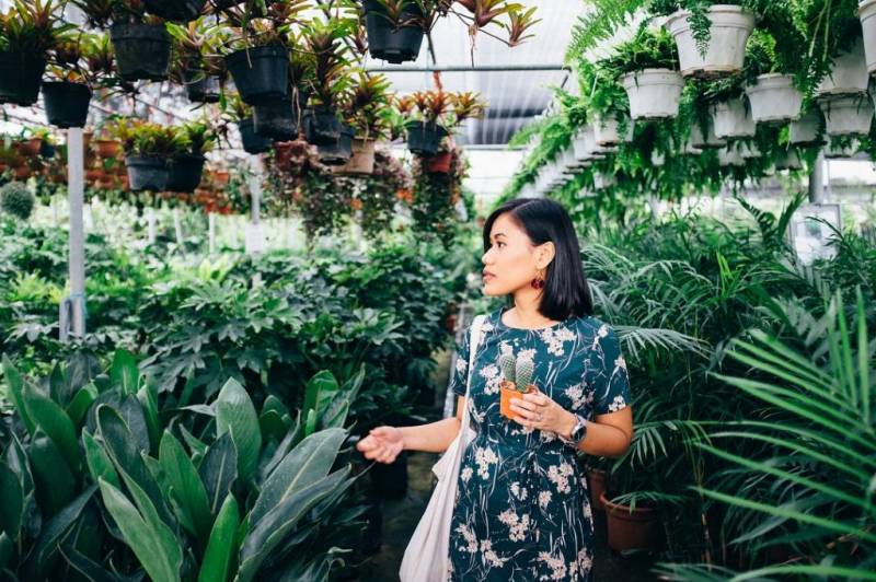 World Farm新加坡超大苗圃花市!绿植、盆栽、花卉都在这🌹 约会遛弯新去处