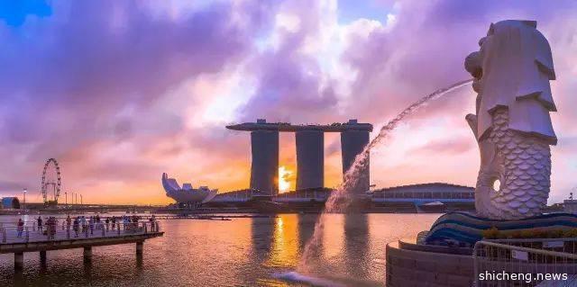 在新加坡呆久了，你肯定遇到了这些烦恼