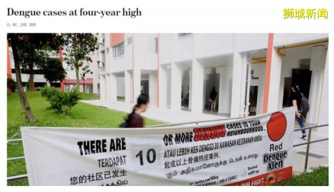 最严重的疫情年!新加坡前交通部长第三次确诊骨痛热