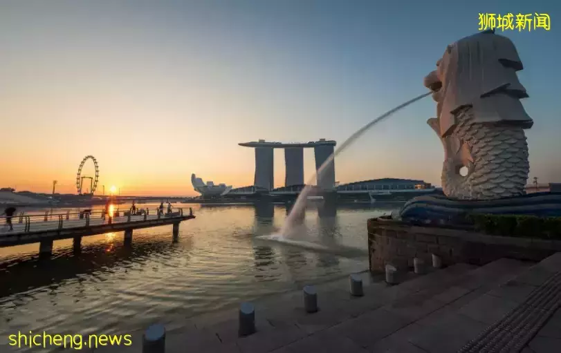 移民新加坡?选择适合您的新加坡移民路径·工作类准证篇