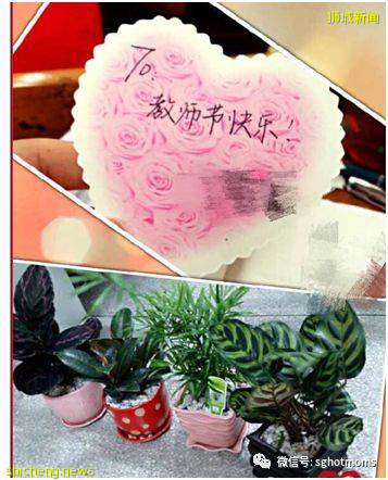 新加坡教師節送禮不用愁,辣媽最全攻略來啦