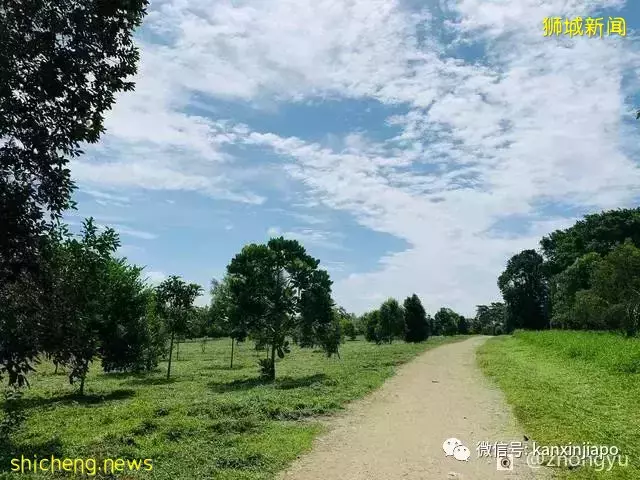 一日游好去处!新加坡的这个小岛你去过吗