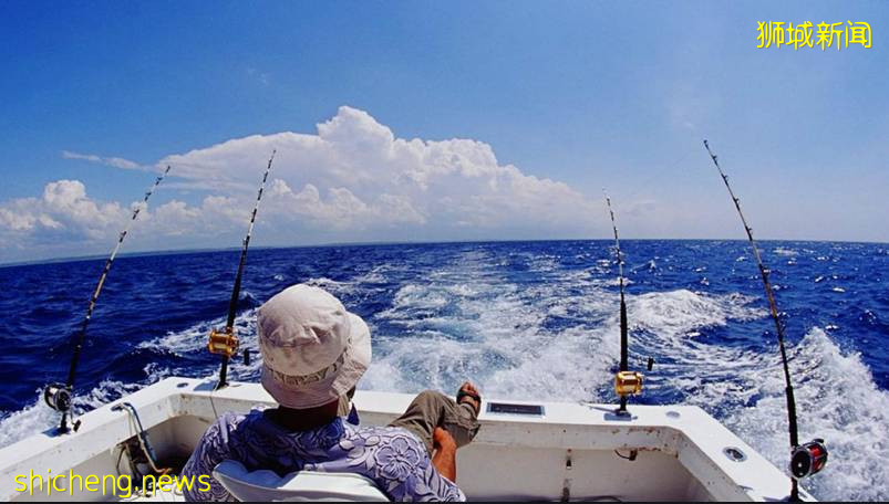 新加坡的土豪们有多任性?为“放风”扎堆买游艇