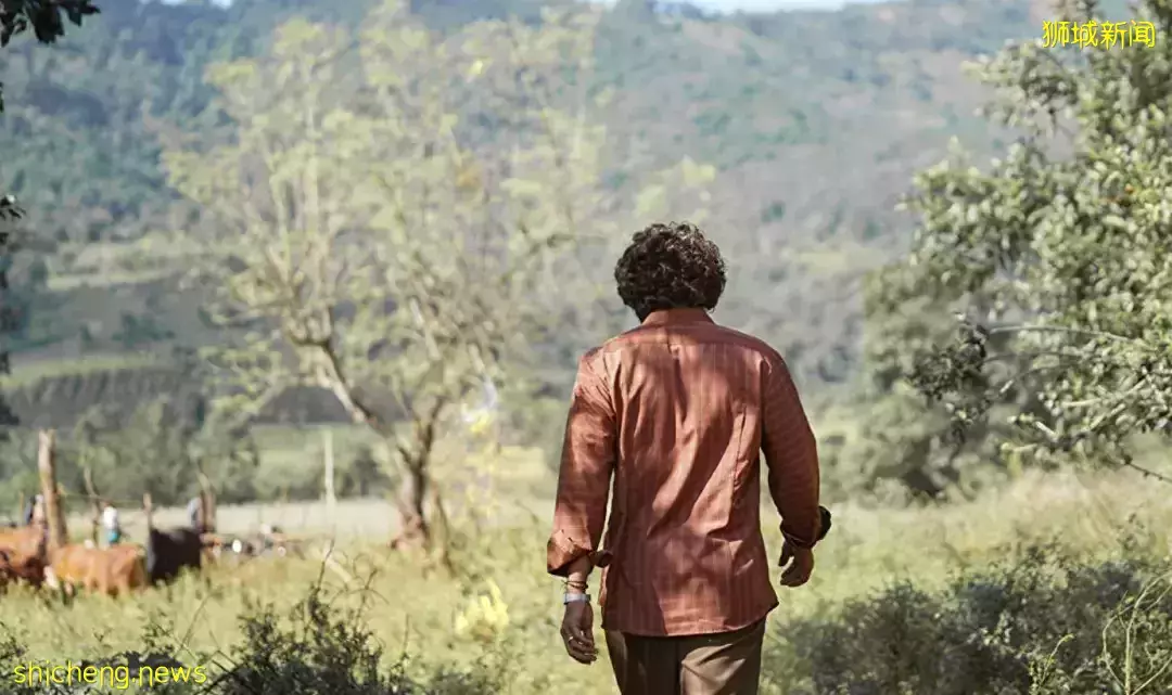 賀歲片攻略！25部電影將在新加坡上映！古天樂、黃渤、賈玲來了