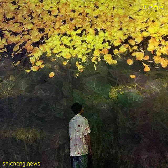 多彩东盟之新加坡:狮城博物馆,颜值和实力缺一不可