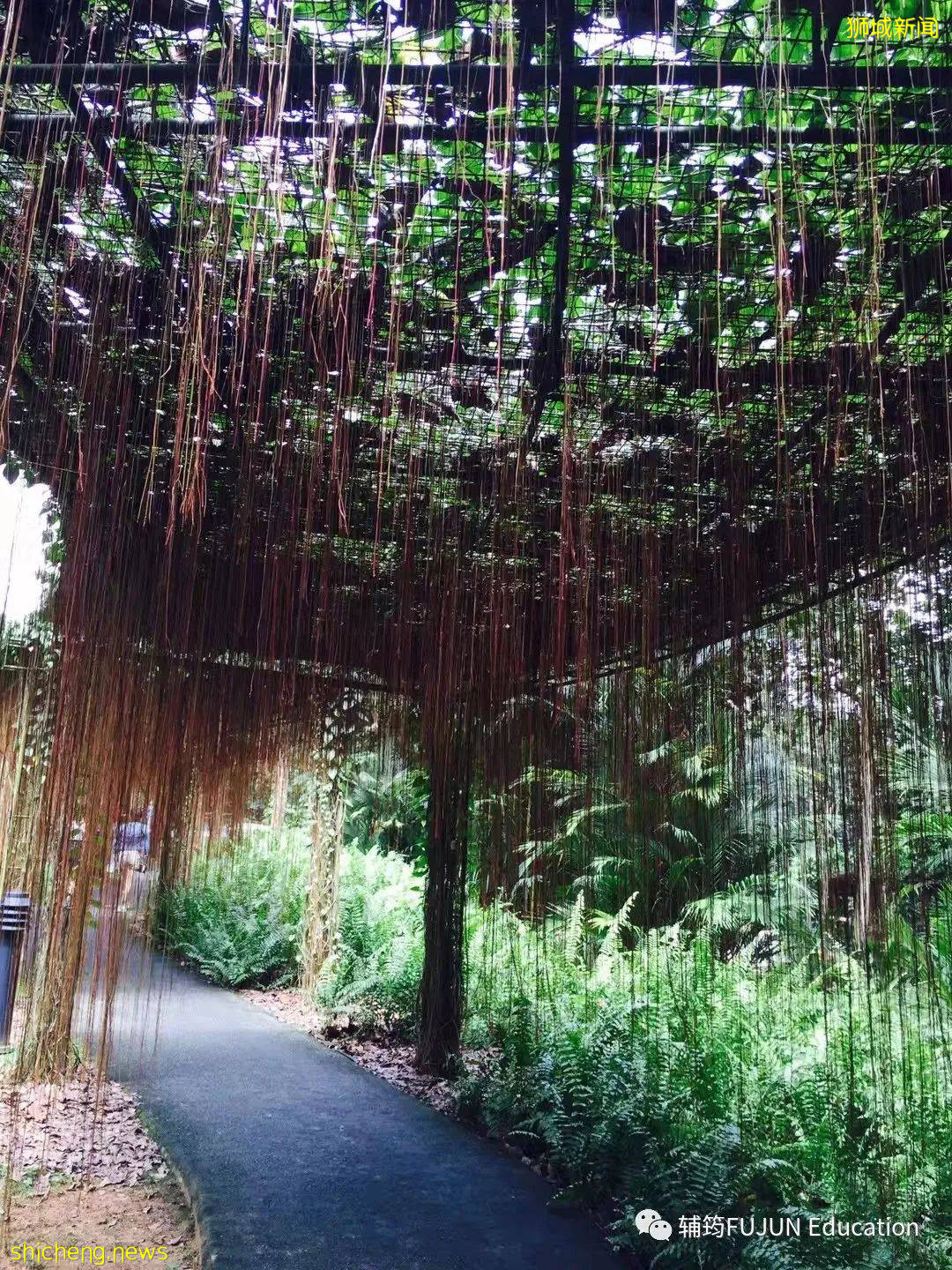 跟着小筠去游“新马”——新加坡吃喝玩乐(中篇)