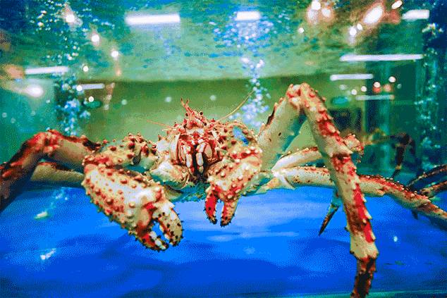 吃什麽海鮮?吃……蒸海鮮!西部這家店必須來打卡一下