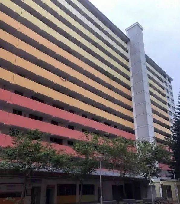 只有初中学历,我是如何在新加坡生存下来的