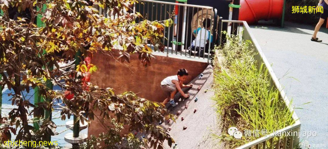 遛娃圣地海军部公园,超多大滑梯,大人孩子一起嗨