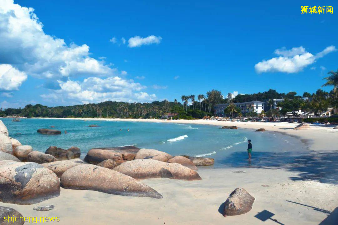 打破传统市区游,轻松逛新加坡两大后花园