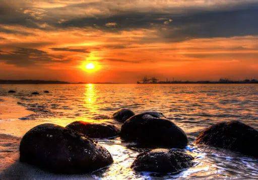 新加坡趕海全攻略!寄居蟹、花蟹、龍蝦、蛤蜊、海星、海參...我挖到寶藏啦