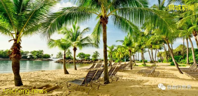 疫情過後,去新加坡不可錯過的16個體驗!