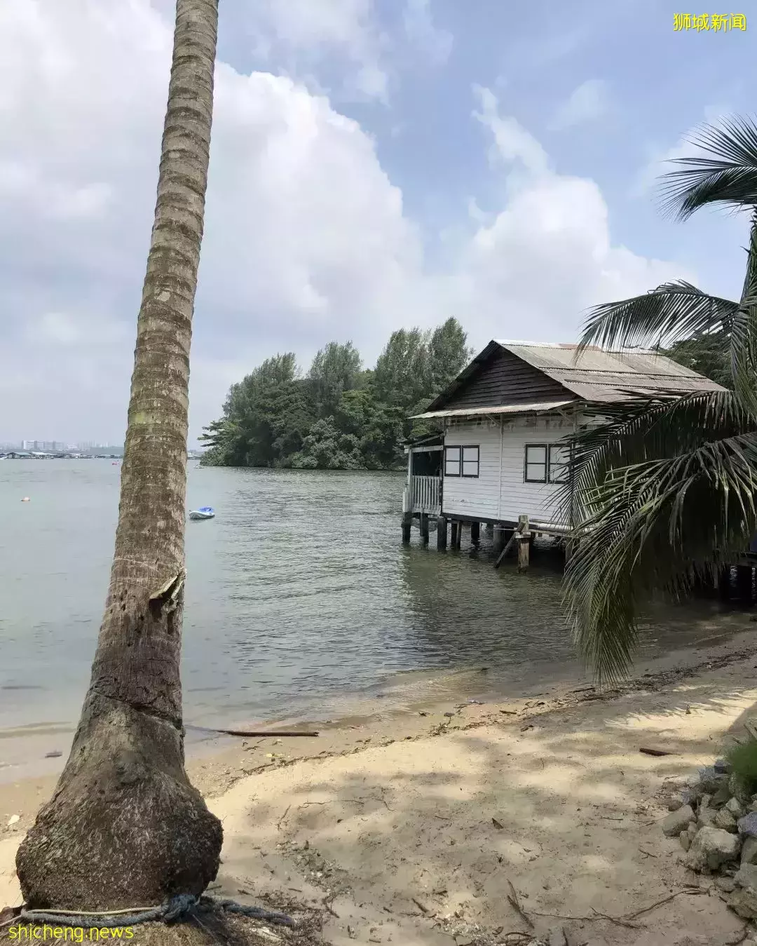 榴梿、野豬、猴子、各種魚蟹……體驗“新加坡最後的農村”