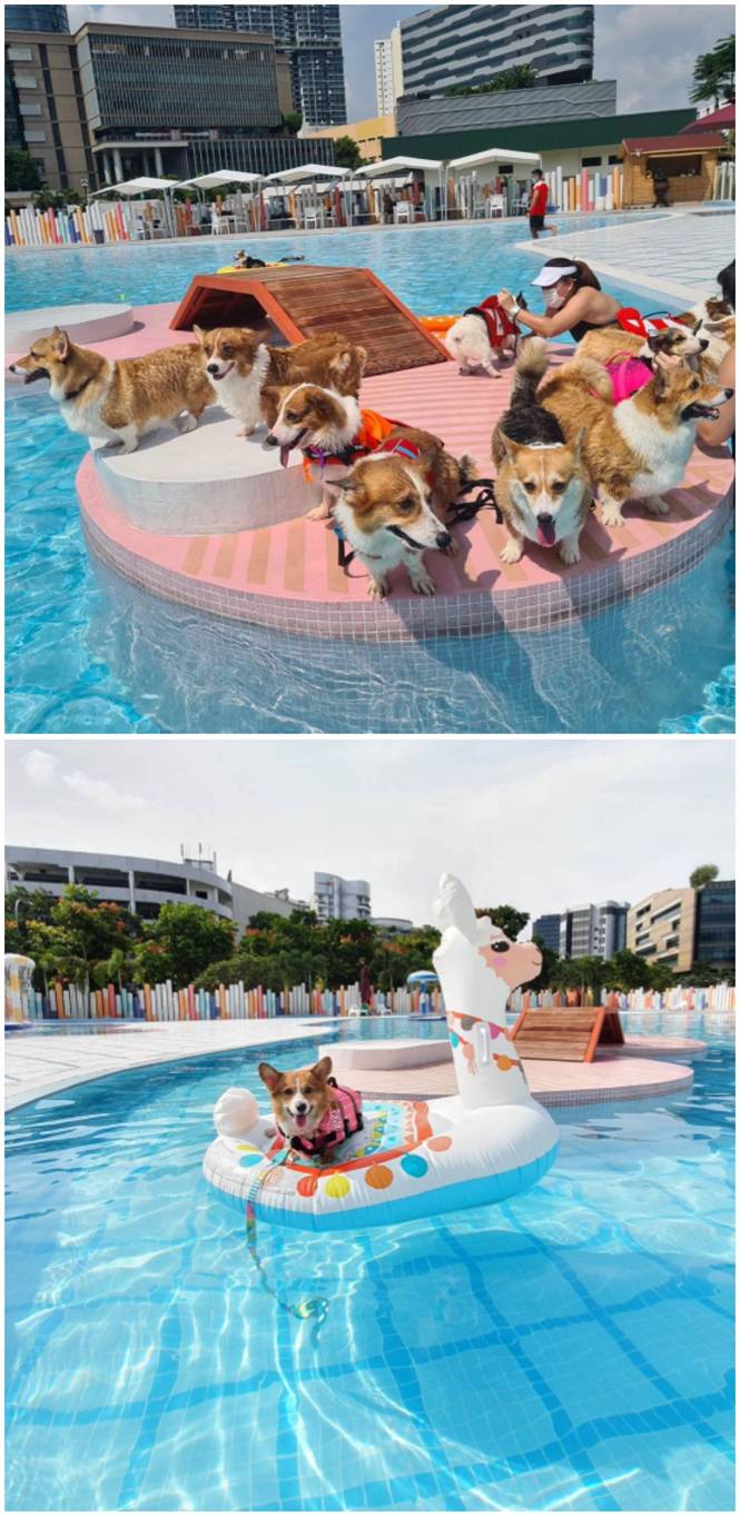 新年假期去哪里?新加坡12个小众新开景点等你来打卡