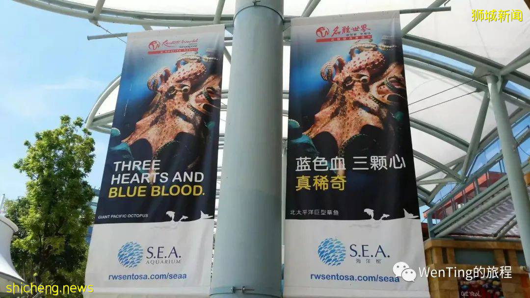 新加坡（4）游乐园