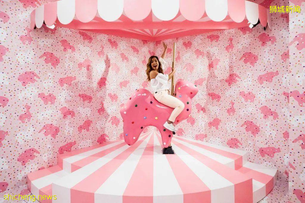 新加坡10個新活動！打卡冰淇淋博物館、總統府、到海底練瑜伽