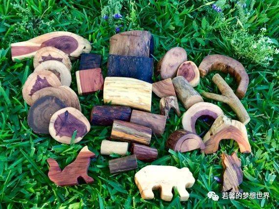 帶上鏟子、放大鏡和昆蟲觀察盒,和小夥伴一起來新加坡的森林探險吧