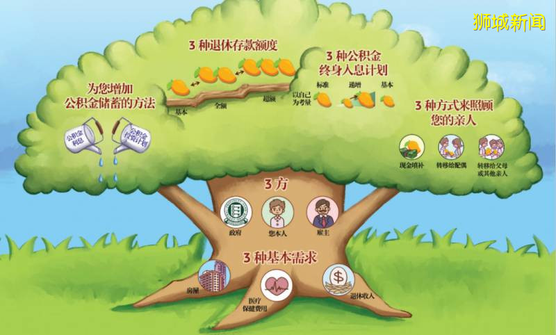 科普帖｜2020年國內養老金上調增加5%！關于新加坡養老政策你了解多少