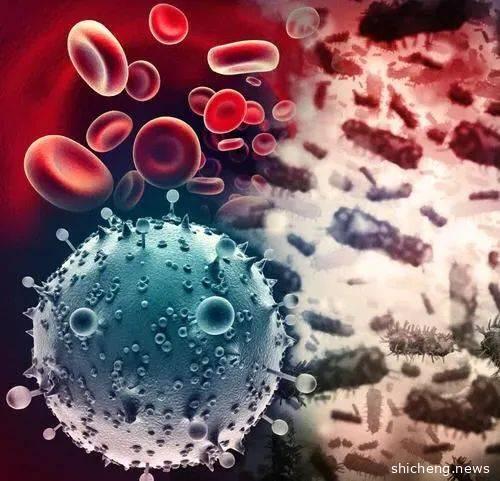 2020, 新加坡新冠肺炎大事记