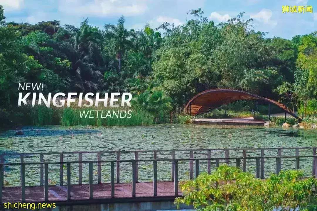 户外徒步新去处！新加坡新开的7个公园你都遛过了没