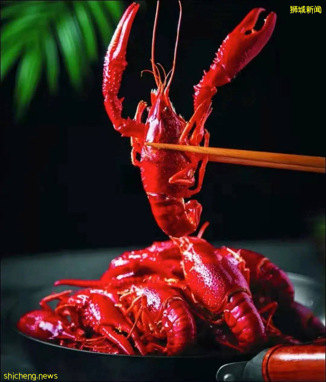 全球最便宜的米其林餐厅，竟然在高物价的新加坡，一餐不超20元.