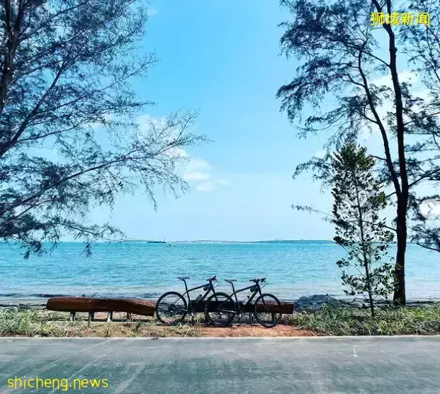 新加坡最新网红景点!风景绝美必打卡