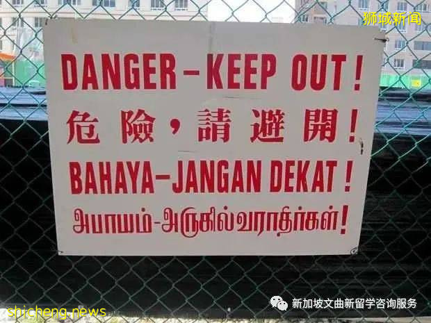 解鎖新加坡冷知識,99%的人都不知道