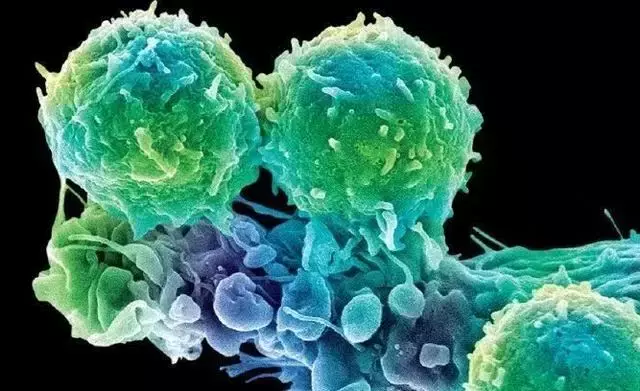 百岁时代或将开启?新加坡科学家找到衰老开关:7个月年轻8岁