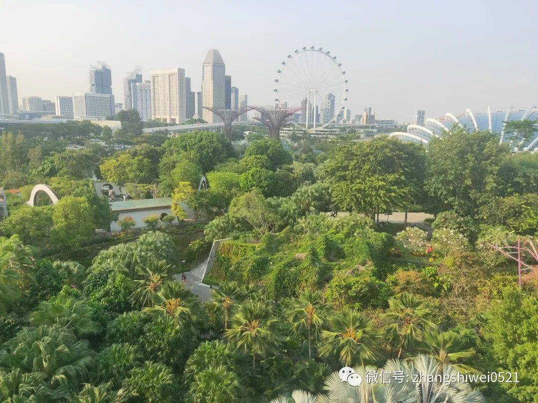 新加坡遊記系列 常規又不常規的獅城遊覽