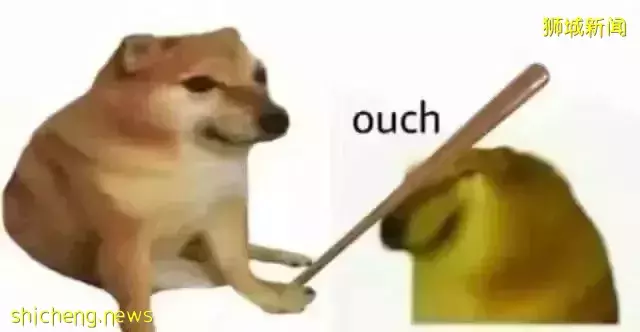 新加坡爲什麽沒有狂犬病?連本地人都不知道的一段黑曆史