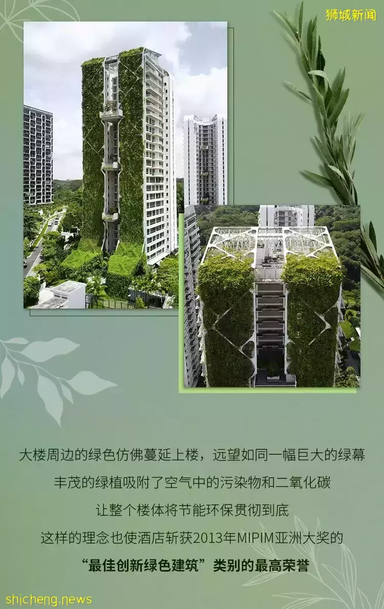 寻访狮城酒店，步入如梦般的绿野仙踪