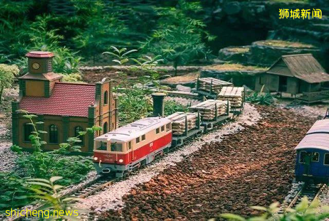 爲什麽我願意抛棄國內的一切,跟隨老公來新加坡