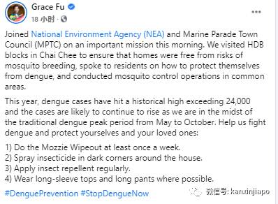 新加坡未来3月将频繁出现极端天气,史上最严重登革热情况或更严峻